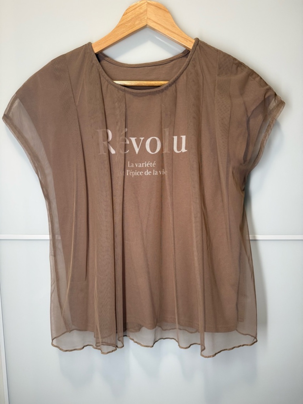 Japanese 🇯🇵 Brown Sheer Short Sleeve Top